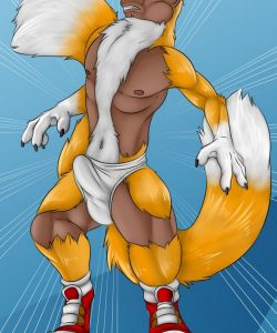 Fox Shoes 009