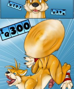 Fox Shoes 014