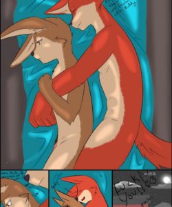 Foxes At Play 006