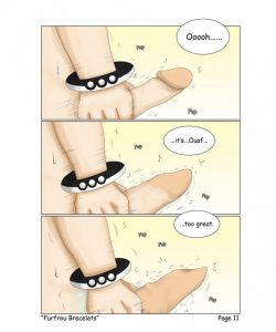 Furfrou Bracelets 012