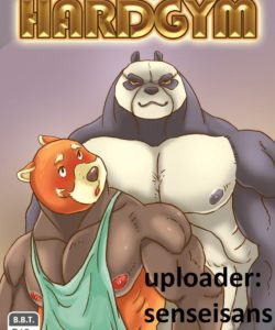 Hard Gym 1