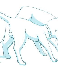 Heavy Petting Kitty 005