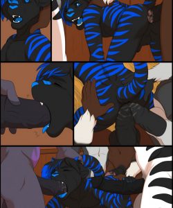 Heya Tiger 002