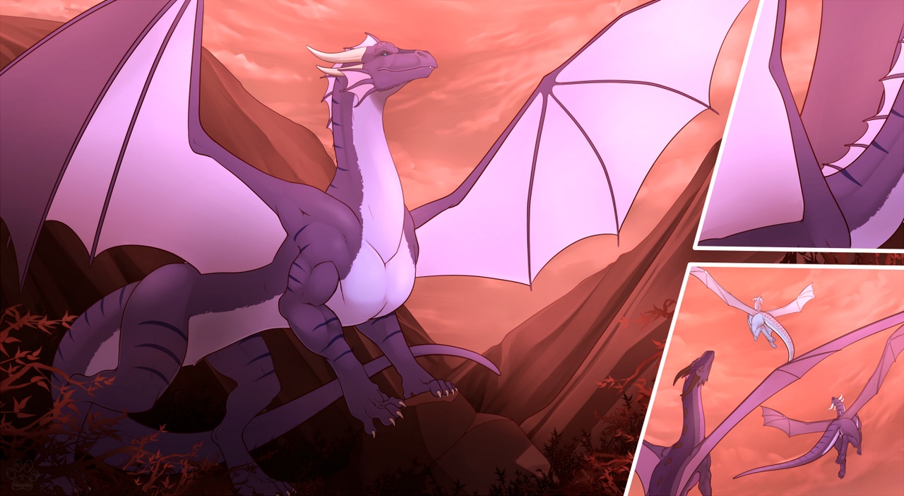 How To TF A Dragon 013