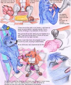 Joe's Dream 010