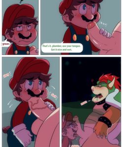 Mario And Bowser 007