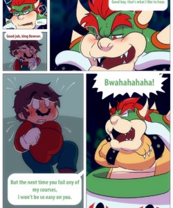 Mario And Bowser 013