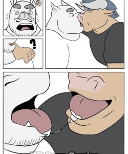 Milkshakes 004