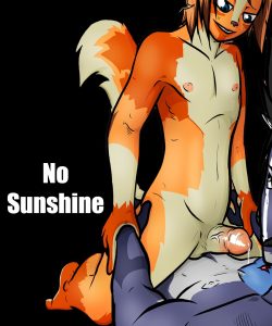 No Sunshine