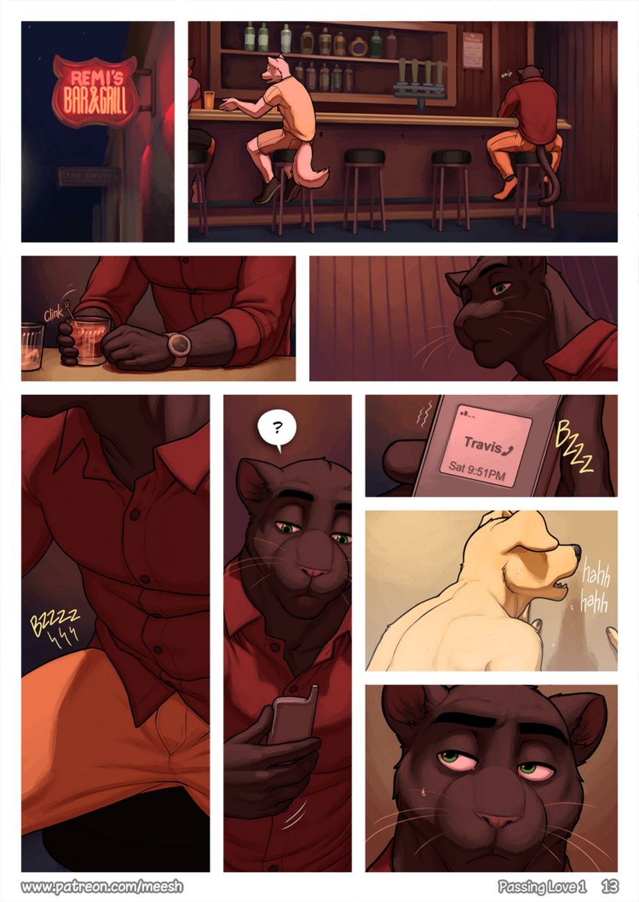 Passing Love 1 013