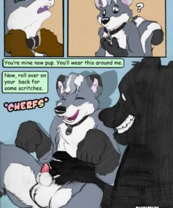 Playing Puppy 005