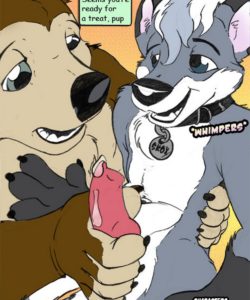 Playing Puppy 006