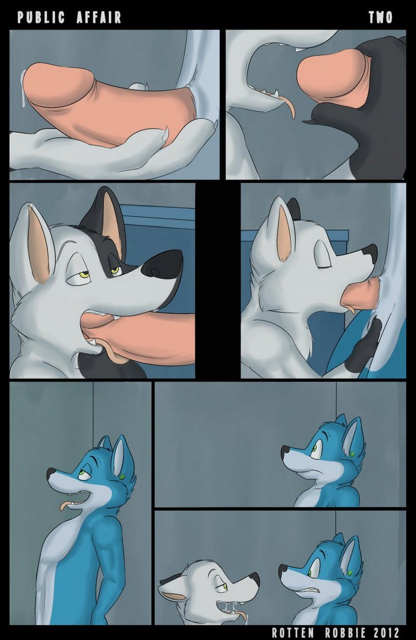 Public Affair 003