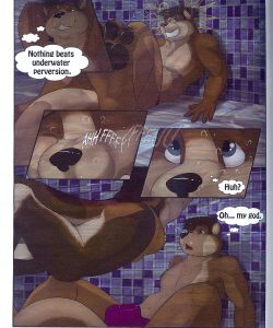 Quick Dip 007