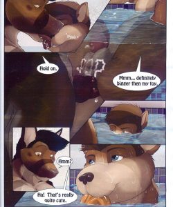 Quick Dip 016