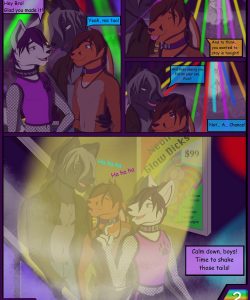 Rhythm Of The Night 003