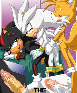 Shadow And Tails 012