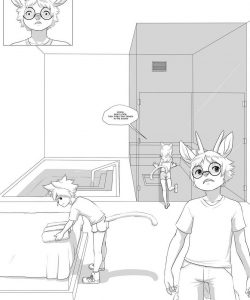 Stress Release 002