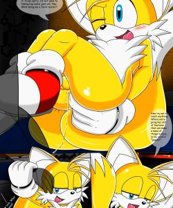 Tails' Secret Hobby 007