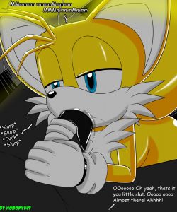 Tails' Secret Hobby 011