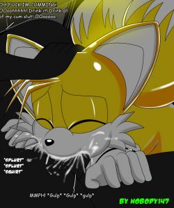 Tails' Secret Hobby 012