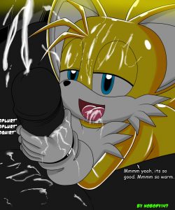Tails' Secret Hobby 013