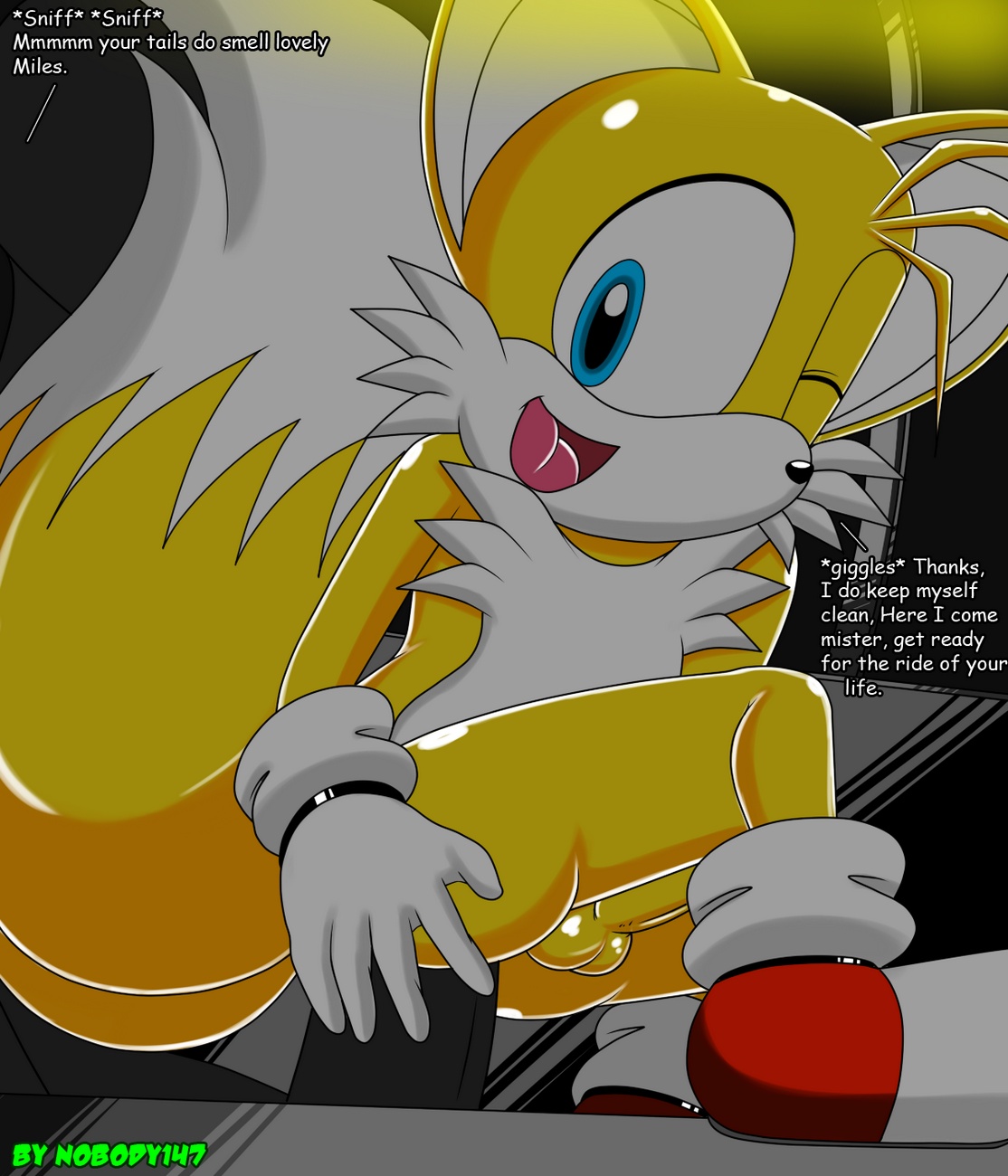Tails' Secret Hobby 014