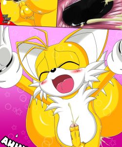Tails' Secret Hobby 027