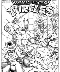 Teenage Mutant Ninja Turtles