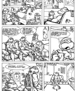 Teenage Mutant Ninja Turtles 002