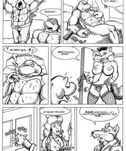 Teenage Mutant Ninja Turtles 003