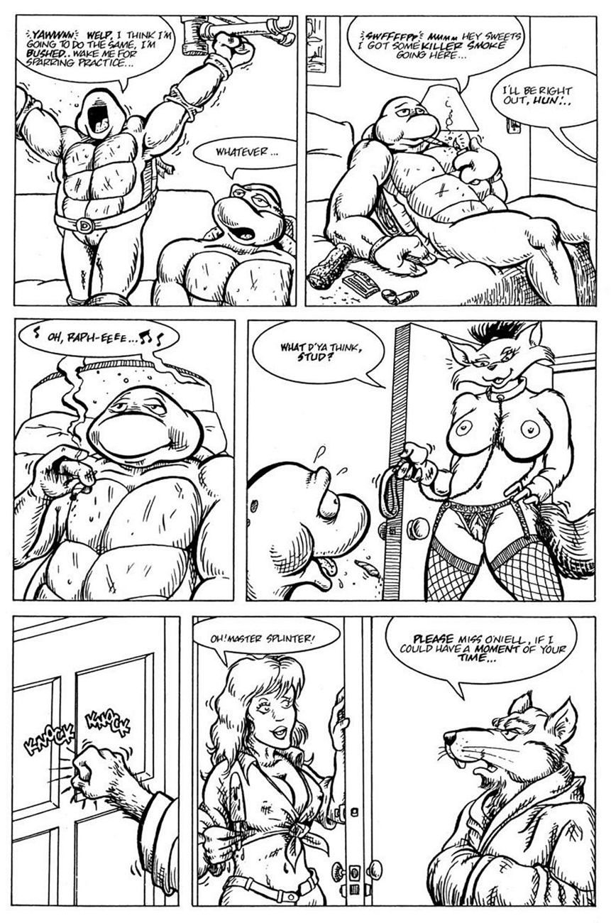 Teenage Mutant Ninja Turtles 003