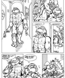 Teenage Mutant Ninja Turtles 005
