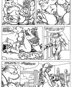 Teenage Mutant Ninja Turtles 006