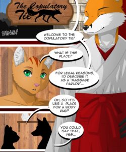 The Copulatory Tie 2 - Breaking In 002