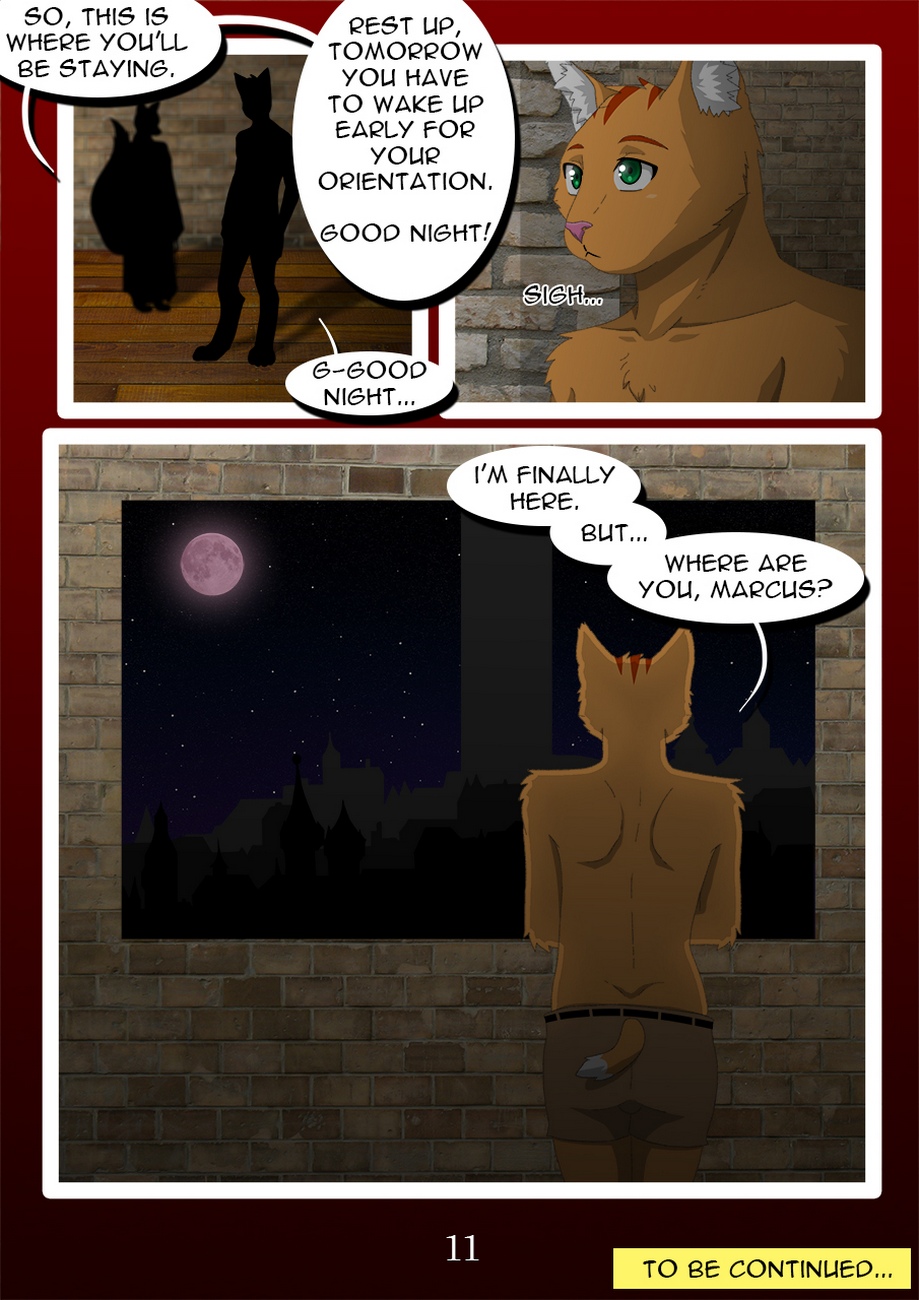 The Copulatory Tie 2 - Breaking In 012