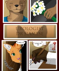 The Copulatory Tie 4 - Doctor's Office 003