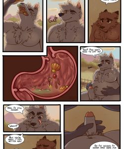 The Farm 003