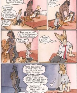 The Fluffer 011