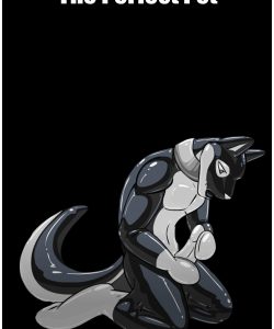 The Perfect Pet