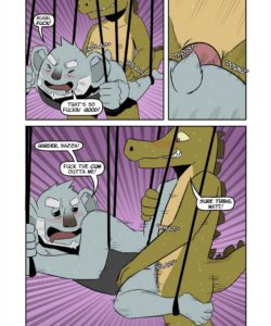 The Rebound 006
