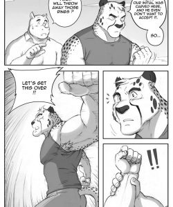 W.E 006