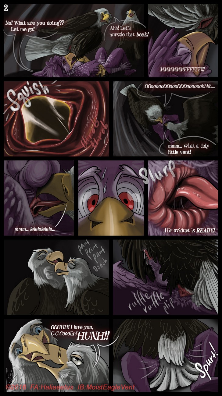 Zeek Finds An Eagle Eyrie 002