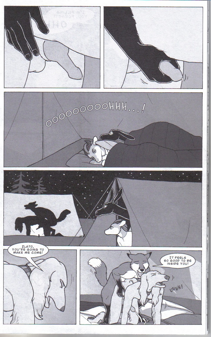 Zlato And Forget 005