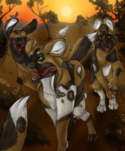 A Wild African Adventure 015