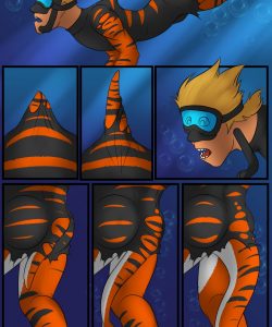 New Wetsuits 005