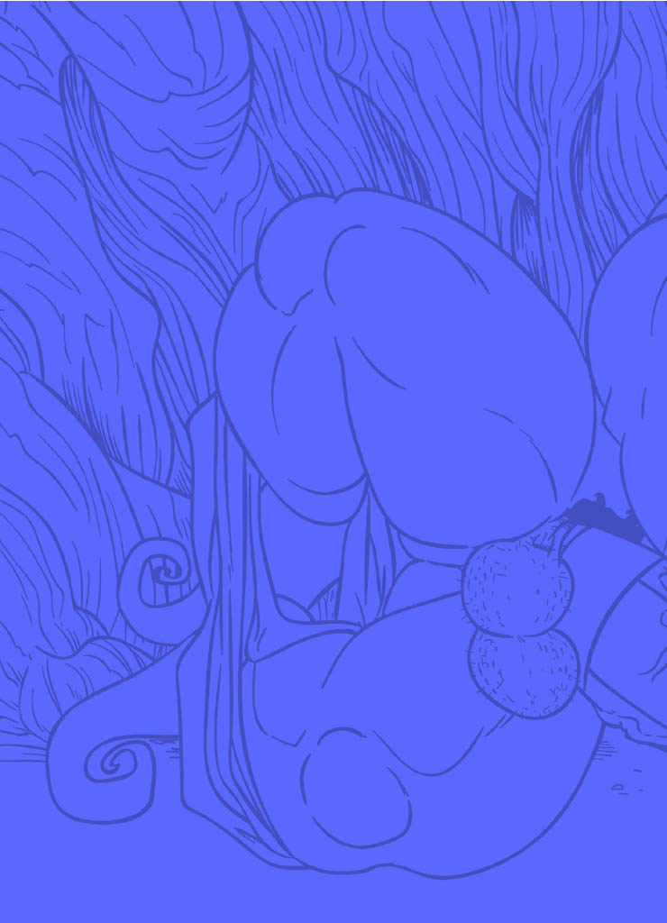 Aladdin & The Great Rodeo 1 002