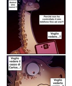 Amateur 011
