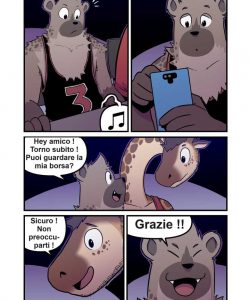 Amateur 015