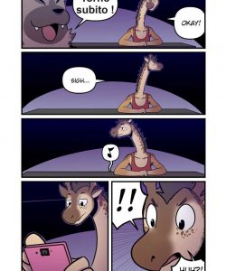 Amateur 016